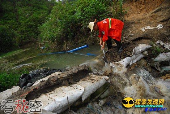 农民深山老林非法盗采稀土 库区却传水稻“有毒”