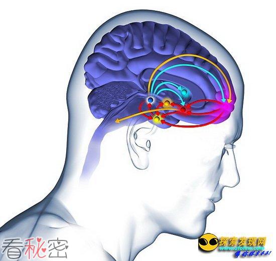 喝啤酒会在大脑产生愉悦效应化学物质
