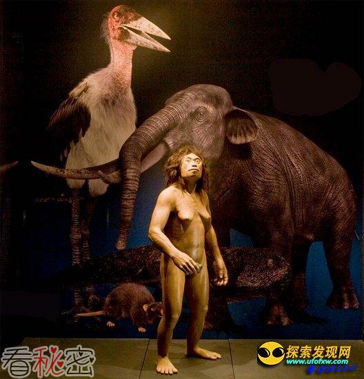 科学家称霍比特人是独特人类物种 而非畸形