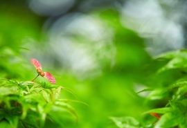 换爱交换乱，我和公gong在厨房