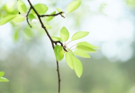 我征服了同学的教师麻麻，太粗太长弄死了我了