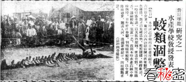 1934年辽宁营口坠龙事件是真的吗，龙骨证据竟被日本人盗走