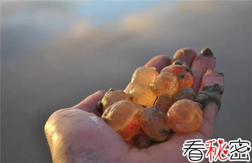 海边出现大量粉红怪蛋 或许是外星人留下的生物