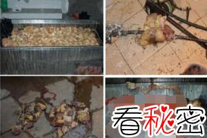 南大碎尸案2008年破了，南京119碎尸案真相曝光(图片)