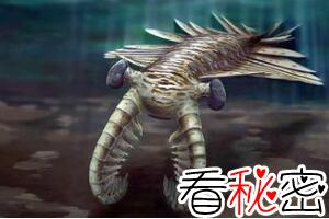 寒武纪巨型奇虾化石，澄江惊现5亿年前奇虾化石(肉食动物)