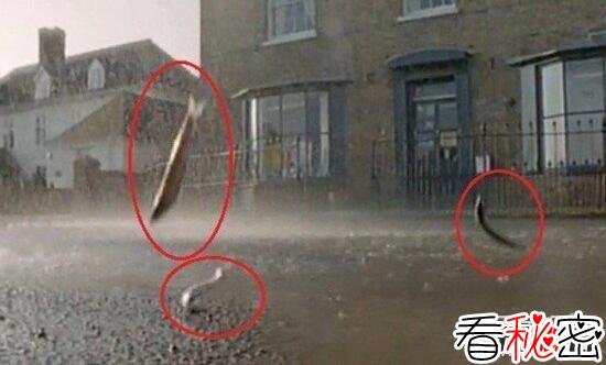 鱼雨