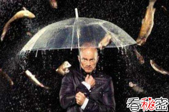 鱼雨