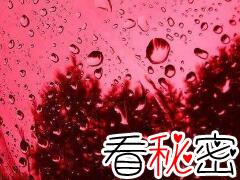 揭秘污秽恶心的血雨之谜，血染大地似屠城(视频)
