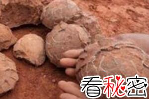 惊动世界的恐龙蛋之谜，中国惊现5000枚亿万年前恐龙蛋