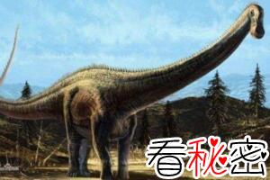 史上最大的恐龙，阿根廷龙长40米重达100吨(一天长80斤)