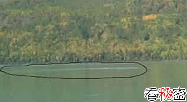 喀纳斯湖水怪真相大白，长15米重32吨的新型物种