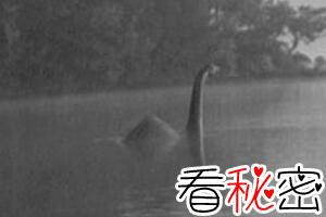 广东水怪之谜，湛江湖光岩惊现数十条巨型生物(疑似巨龙)