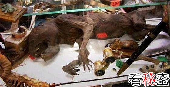 传说中的吸血怪兽“卓柏卡布拉”尸体被发现，证实是只狗