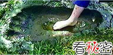 中国近700年的灵异事件：1997年；乌鲁木齐发现2.7亿年前的人类鞋(皮鞋）印化石