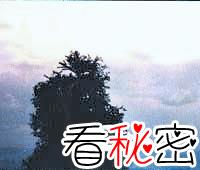 中国近700年的灵异事件：1994年12月贵阳市发生空中怪车事件，附近山林被夷为平地