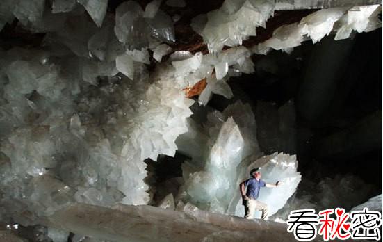 中国近700年的灵异事件：1978年罗布泊发现地下洞穴，有数千条体型巨大的食人蜥蜴
