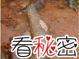 1962年；浙江沿海渔村发现巨型海蛇