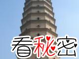 2002年泾阳县崇文塔上的一尊佛像伸手接住了一个从12层掉下的小女孩