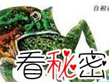 1979年贵州一水田数万只长牙的青蛙互相残杀吞食