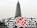 1972年山西龙兴寺宝塔塔顶每天冒出青烟，持续10天