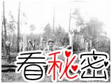 1994年12月贵阳市发生空中怪车事件，附近山林被夷为平地