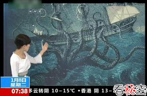 科学家解开巨大海妖之谜：可能是巨型乌贼作怪