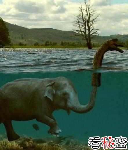 尼斯湖水怪其实是大象的鼻子吗：真相是什么