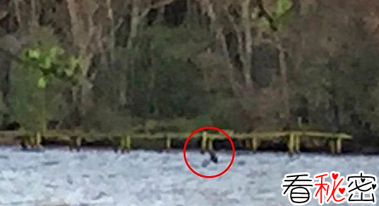 苏格兰游客拍到水怪照片 疑似尼斯湖水怪