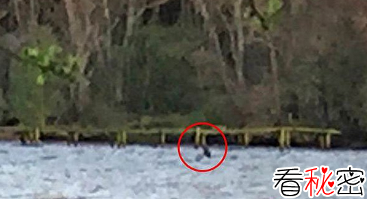 苏格兰游客拍到水怪照片 疑似尼斯湖水怪