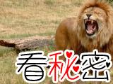 残忍的动物世界：雄狮杀崽夺王位