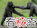 残忍的动物世界：为争夺配偶，雌性黑猩猩杀死对手的幼子