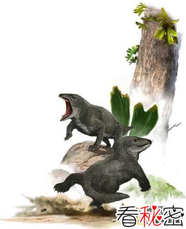 内蒙古道虎沟发现中侏罗纪古兽化石