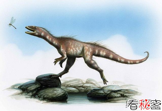 英国海滩发现霸王龙“迷你祖先”化石