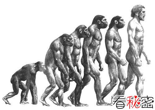 “东亚型”人类的起源之谜