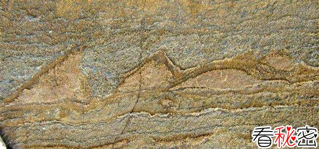日本发现30亿年前微生物化石群