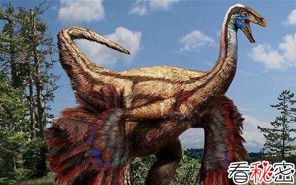 最新考古证实恐龙身上有羽毛