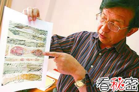 云南发现远古类虾甲壳动物化石