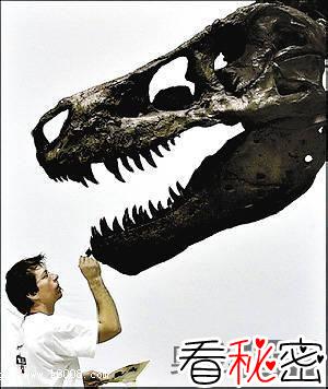 新证据证明鸡是霸王龙后代