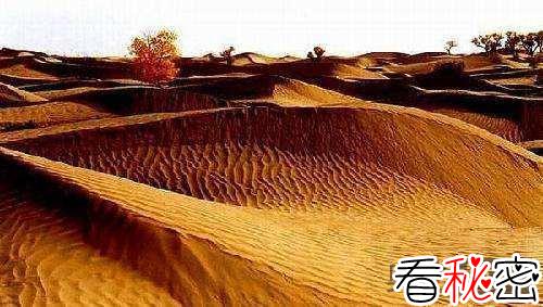 塔克拉玛干沙漠发现古铜观音佛像