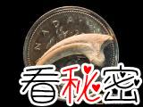 伊氏西爪龙：最小的食肉恐龙