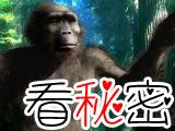 人类远古近亲傍人妻妾成群