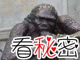 巫山人：中国最早的人类