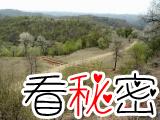 秦直道发现2000年前儿童脚印