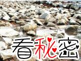 余杭良渚古城:五千年前世界最大的城市遗址