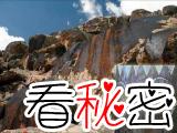 新疆博格达发现大面积岩画