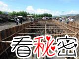 云南发现最大干栏式建筑聚落遗址