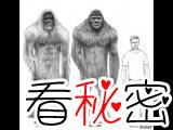 中国南方巨猿灭绝之谜
