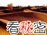塔克拉玛干沙漠发现古铜观音佛像