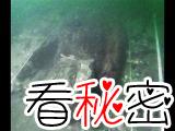 日本海底发现元代战舰残骸