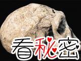 格鲁吉亚发现半猿半人生物化石